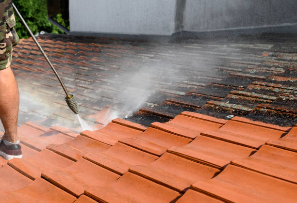 Best Affordable Power Washing  in Mount Angel, OR