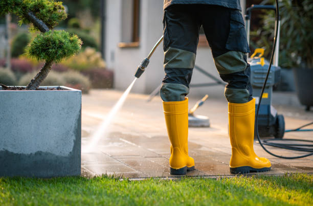 Best Roof Pressure Washing  in Mount Angel, OR